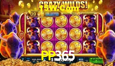 cassino PP365